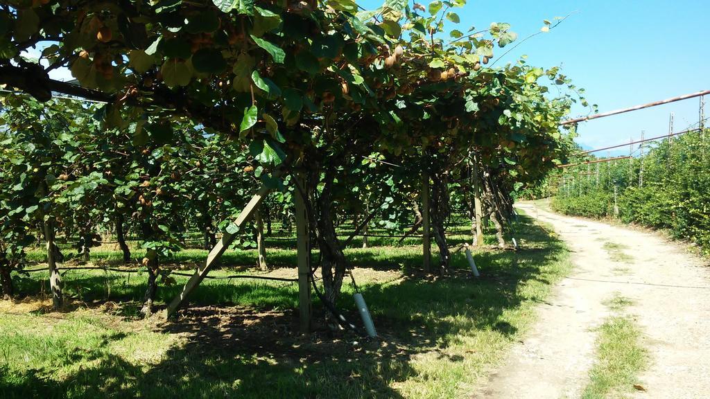 Agriturismo B&B Corte Tonolli วาเลจโจ ซูล มินโช ภายนอก รูปภาพ