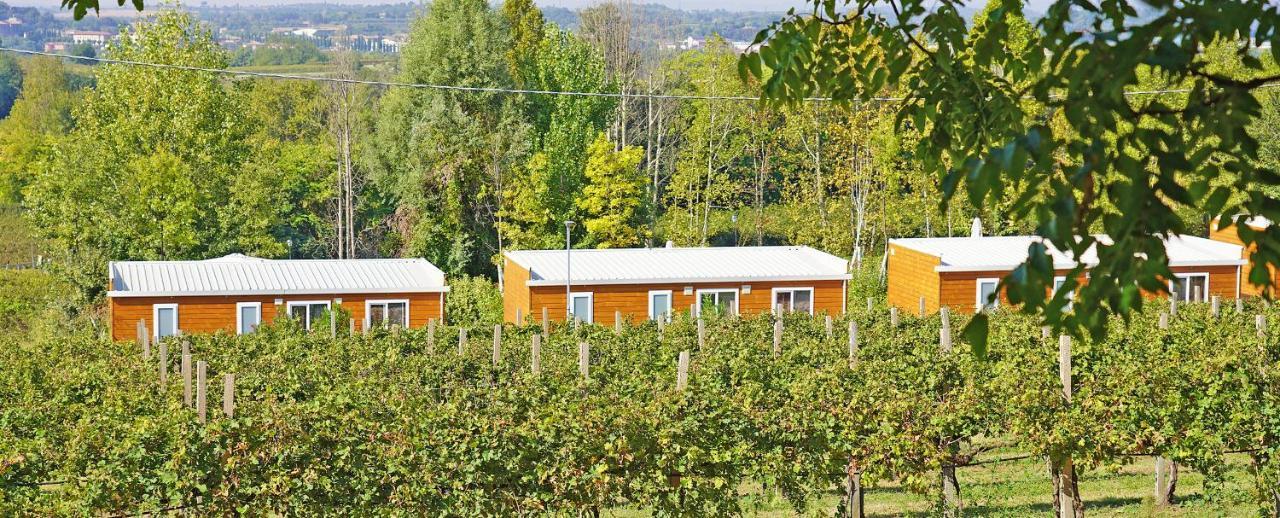 Agriturismo B&B Corte Tonolli วาเลจโจ ซูล มินโช ภายนอก รูปภาพ